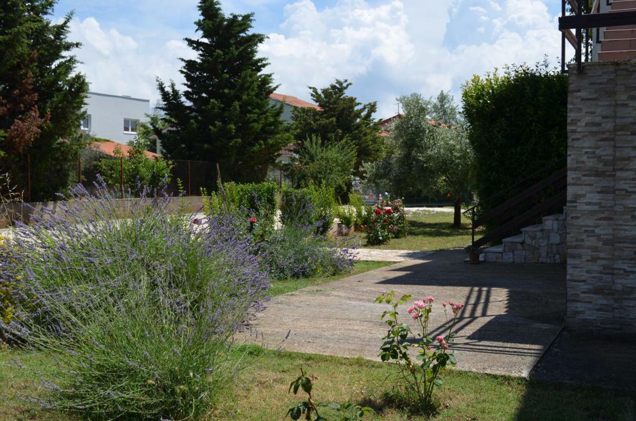 Niki Apartma *