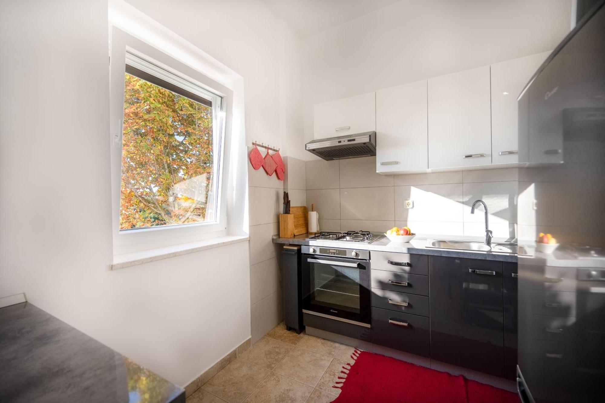 Apartment Niki *
